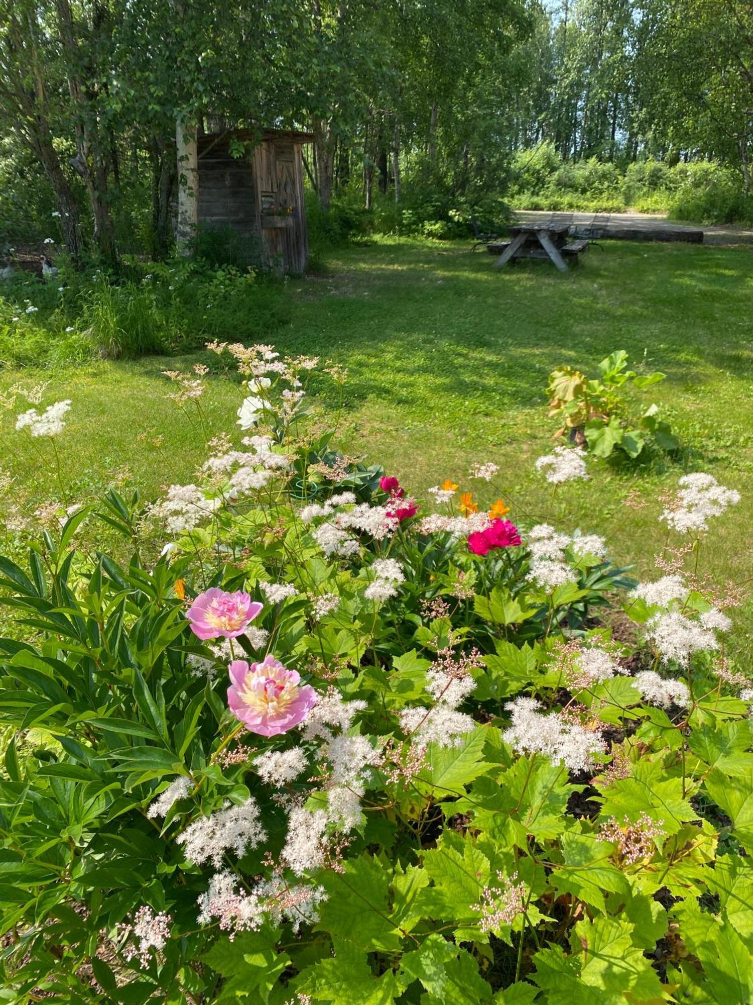 Trapper John'S Cabin & Cottages Talkeetna Zewnętrze zdjęcie
