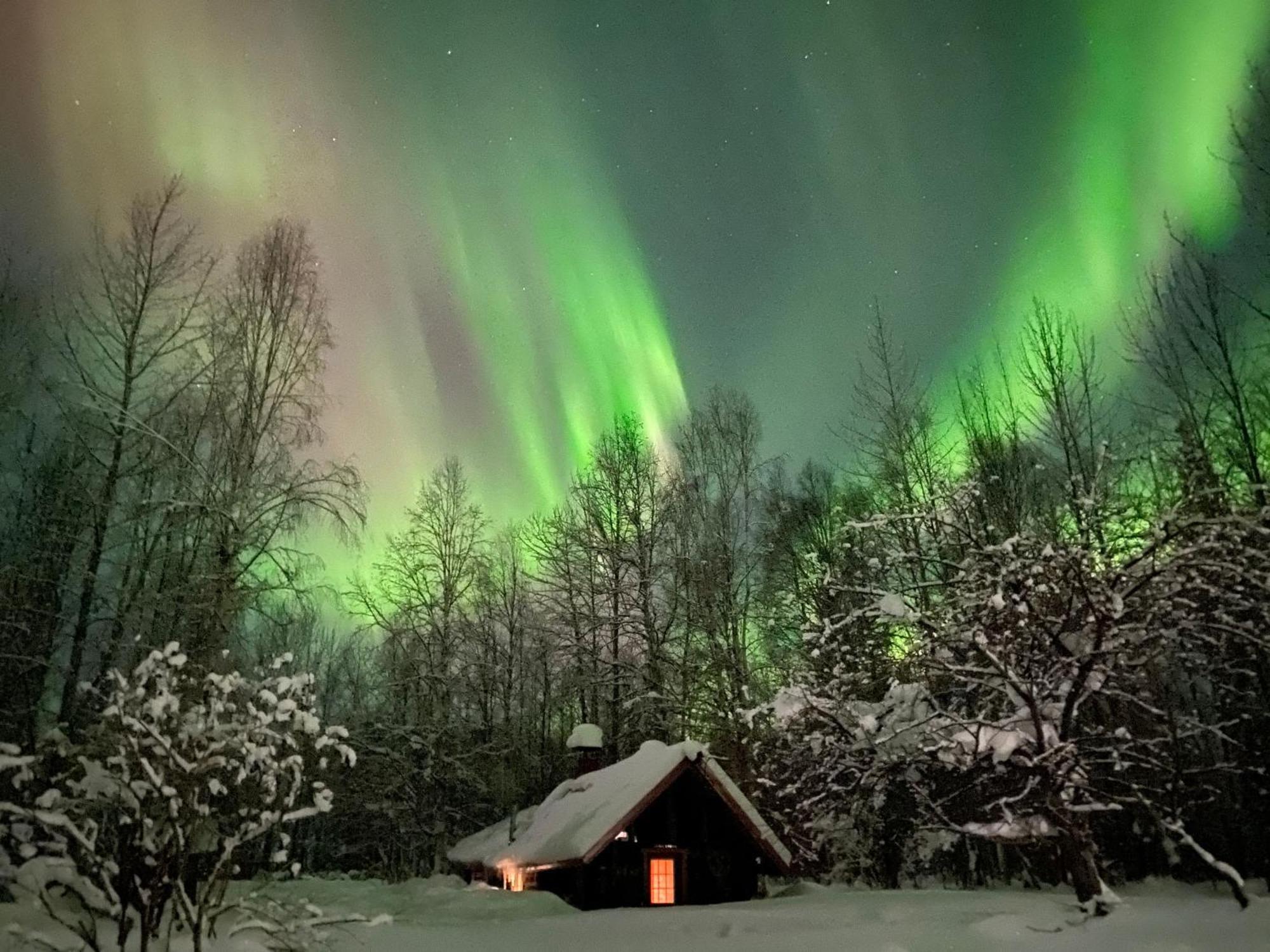 Trapper John'S Cabin & Cottages Talkeetna Zewnętrze zdjęcie