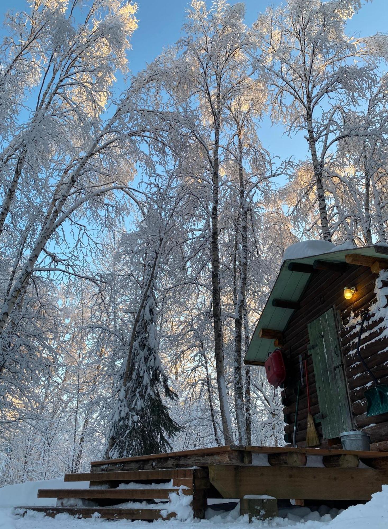 Trapper John'S Cabin & Cottages Talkeetna Zewnętrze zdjęcie