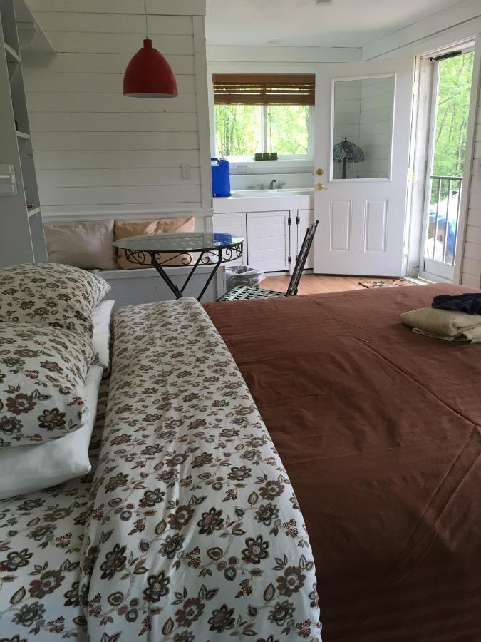 Trapper John'S Cabin & Cottages Talkeetna Zewnętrze zdjęcie